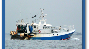 Ressources marines La pêche française doit encore s’améliorer
